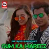 About Gum Ke Mareez Song